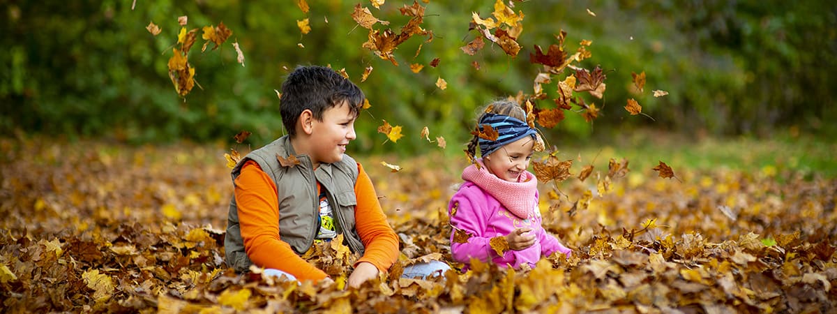 Kids playing in forest with leaves header