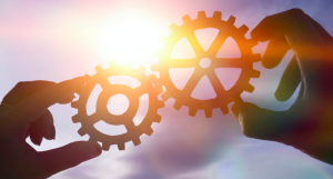 Hands holding cogs