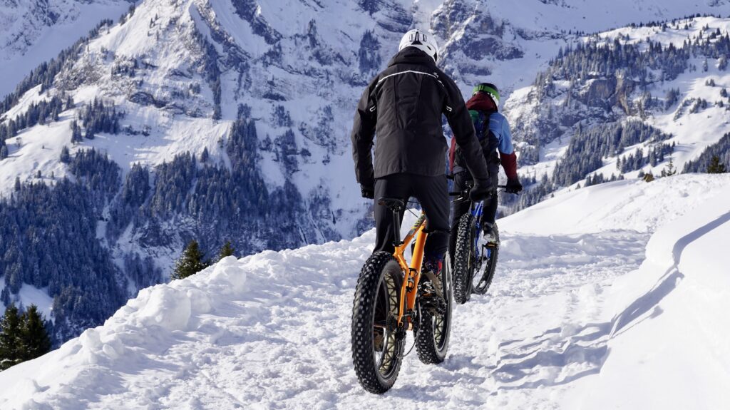 Mountain bike